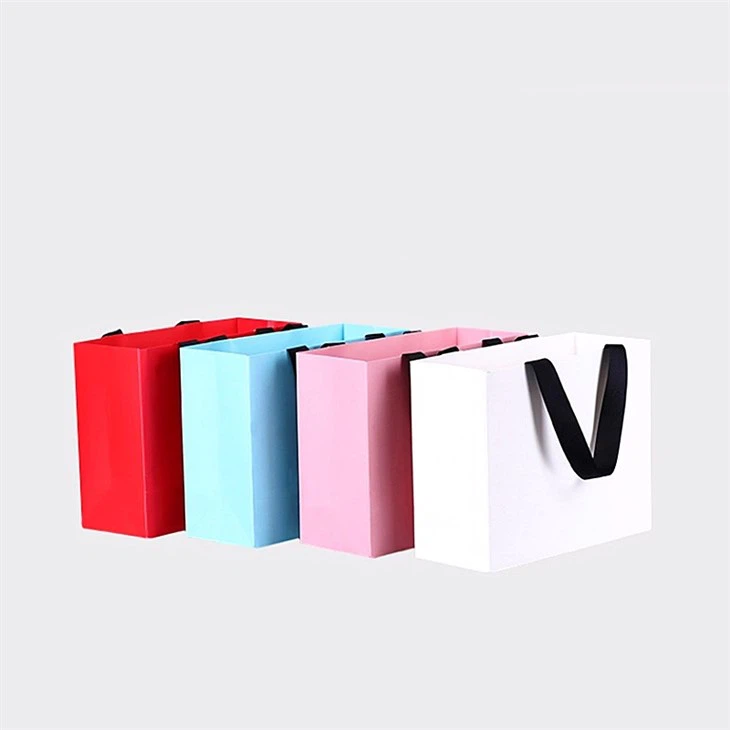 Small Paper Carry Bags For Shopping